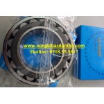 ĐẠI LÝ BẠC ĐẠN NTN